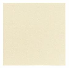 DUNI TOVAGLIA 98x98 CHAMPAGNE 50pz