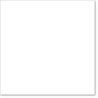 TOVAGLIOLO 33x33 BIANCO 2V 20x100pz PL01308