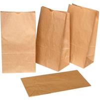 SACCHETTI CARTA KRAFT BIANCO 14X28 KG.10